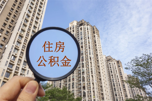 南宁深圳公积金（深圳公积金首页）